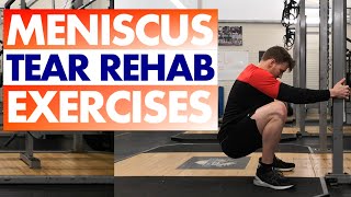 Meniscus Tear Rehabilitation Exercises [ Axe Rugby ]