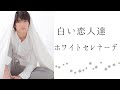 白い恋人達＊ホワイトセレナーデ＊メドレー　字幕入り
