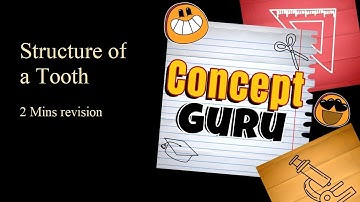 Structure of a Tooth | Class 4 | ICSE | Science | 2 minute Revision | Science Olympiad