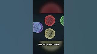 infinite balls from one the banach tarski paradox