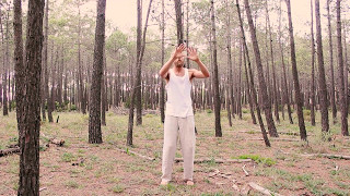 Learning 7 basic poses QiGong Learning 7 basic poses QiGong