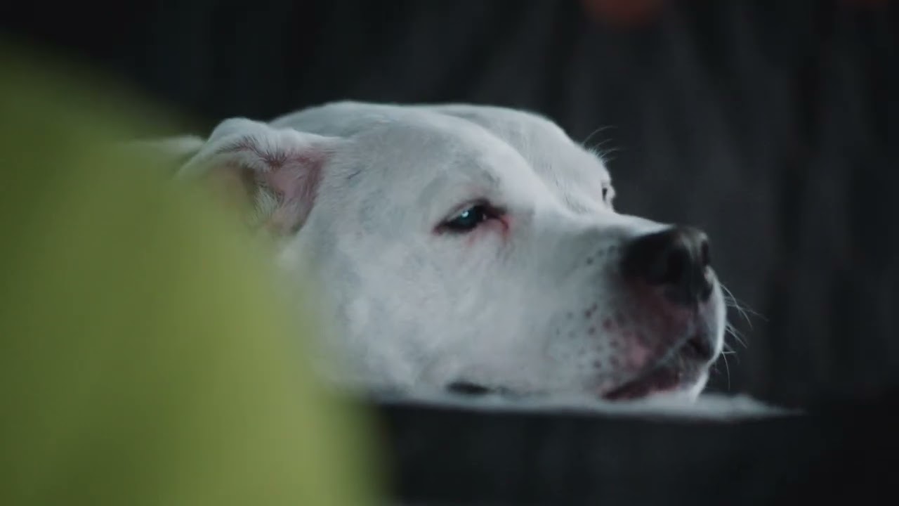 1947: Out to Astoria