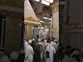 M Umra Muhammad Shafiq 