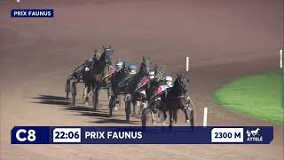 Vidéo de la course PMU PRIX FAUNUS