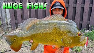 Catching Record Peacock Bass | Monster Mike Fishing