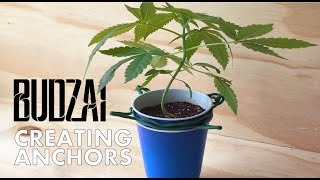 BUDZAI 101: Creating Anchors for Sculpting
