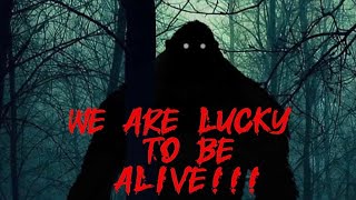 Monster Mondays episode 3 | Disaster of  the Bearilla