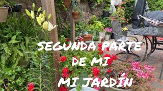 SEGUNDA PARTE DE MI JARDÍN 2024 #un dia con Carmen Torres