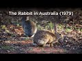 The Rabbit in Australia (1979)