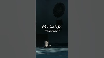 واستغفروا ربكم ثم توبوا إليه | #قرآن #تلاوة #ماهر_المعيقلي #استغفار #توبة #خشوع #قران_كريم