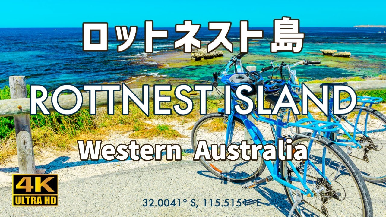 4k ロットネスト島に行ってみた22 11 Visiting Rottnest Island Youtube