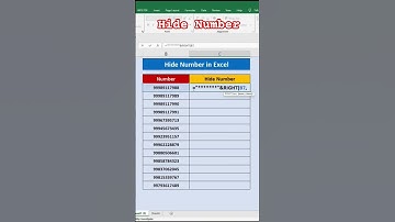 How to Hide Number in Excel.
