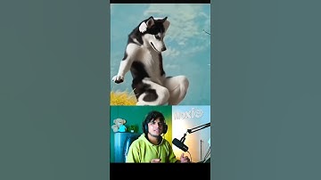 Wait for End 😂☝🏻 #bgmi #moxieop #gaming #pubgmobile