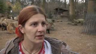 Frühlingserwachen Im Ulmer Tiergarten