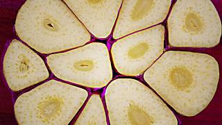 Every garlic is a clone (sort of) screenshot 3