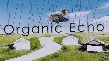 BEMF - Organic Echo [AI MUSIC VIDEO]