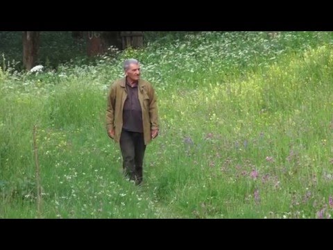 ირაკლი ციგროშვილი