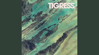 Tigress - Coppice Halifax