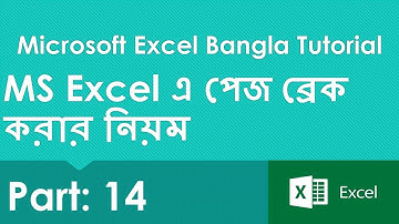 MS Excel Page Break | Microsoft Excel Bangla Tutorial | Walid Education Academy