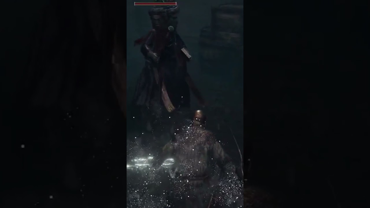 ELDEN RING does NOT allow you to do this.