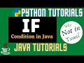 Java Conditions and If Statements| if statement in java | if statement in python