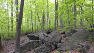 Bootleggers cave Disc Golf Course hole 8 drone flyover