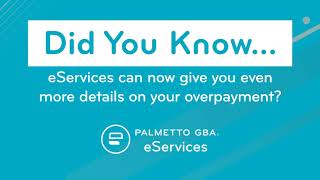 Palmetto GBA eServices Overpayments Portal