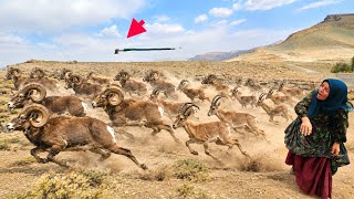 🏔️🐐 Epic Battle: Nomadic Couple vs. Wild Goats in the Zagros Mountains! ⚔️🔥