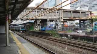 川崎駅の跨線橋と185系、E231系、E233系