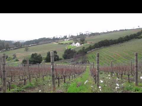Beau Constantia Wine Estate
