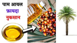 पाम तेल के फायदे और नुकसान | Palm Oil Is Good Or Bad For Health | Palmolein Oil | The Jalebi