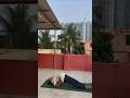 Bridge (setu)asana.#shortvideo .#yogapostures .#yogaasanas .#motivation .