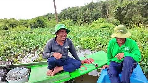 Đặc sản sông nước miền Tây rắn ri voi xào lăn ngon và hấp dẫn hương vị Đồng quê