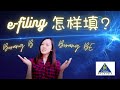 How to fill in e-filing? 怎样报税不会错？如何申报Income Tax 最省钱？