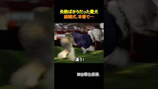 結婚式で愛犬が見せた予想外の姿