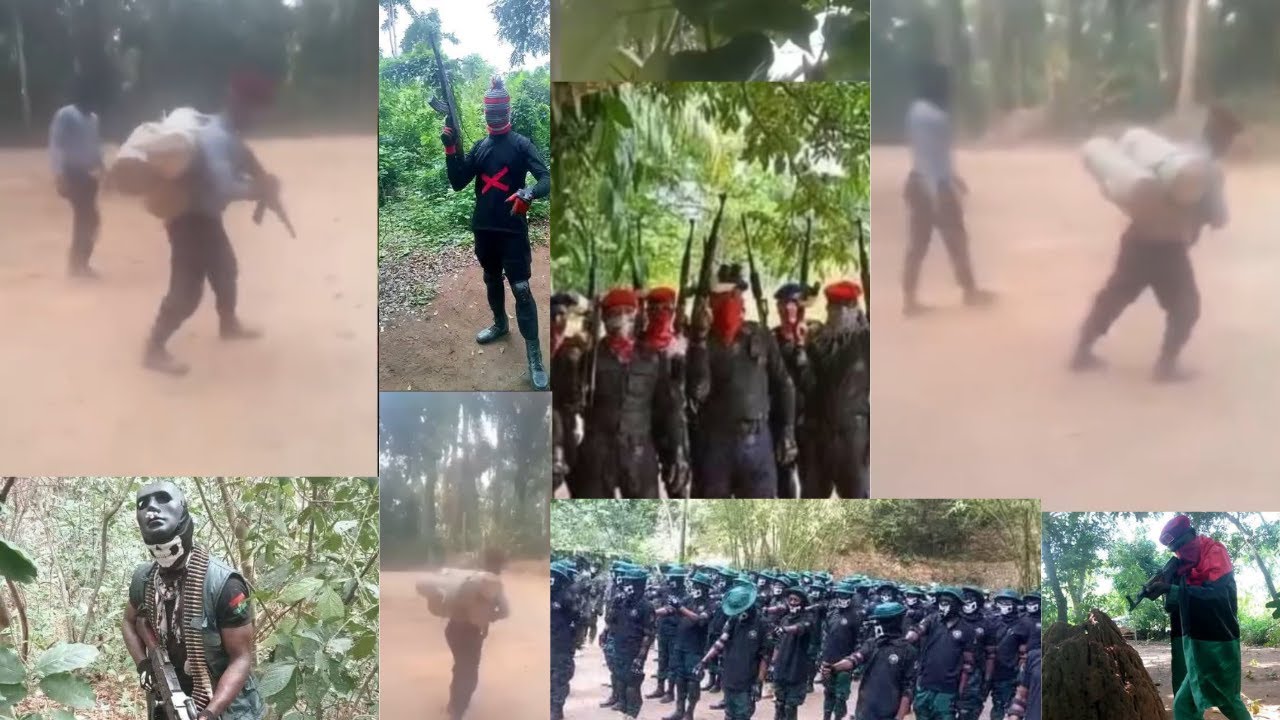 Командиры Армии освобождения Биафры предположительно приступили к самоподготовке