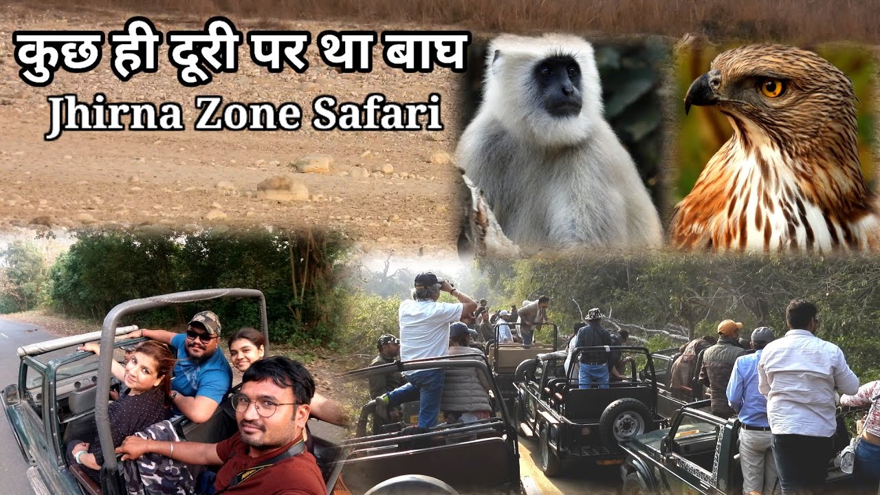 Tiger Kuch Hi Duri par Betha tha Sabko dikha Hame nhi Dikha🫣 😃😃