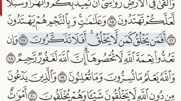 القرآن الكريم سورة النحل الآيتين  16 و  17