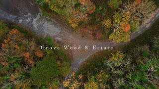 Grove Wood And Estate, Fethard Co. Tipperary Autumn Drone Ireland