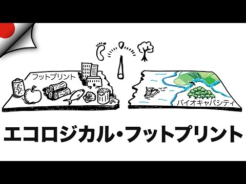 エコロジカル・フットプリント