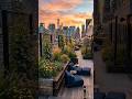 From Concrete Jungle to Rooftop Oasis: Full Renovation
