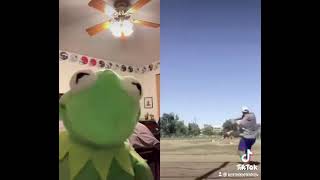 Kermit Sees A Balloon