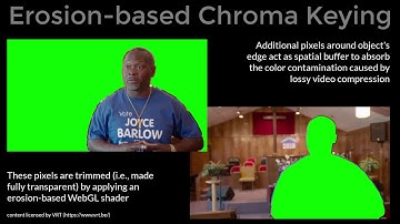 ACM MM2019 supplemental video (Talking Video Heads)