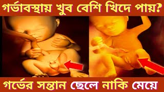 গর্ভাবস্থায় খুব বেশি  খিদে পায় গর্ভের সন্তান কি ছেলে hungry during pregnancy Is the fetus a boy