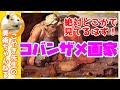 【コバンザメ!!】見たことない絵？でも「この画家の絵は」絶対に見たことあります！まさかあの絵のあの部分が…!?