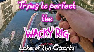 The Wacky Rig Experiment | Spring Bass Fishing | Lake of the Ozarks