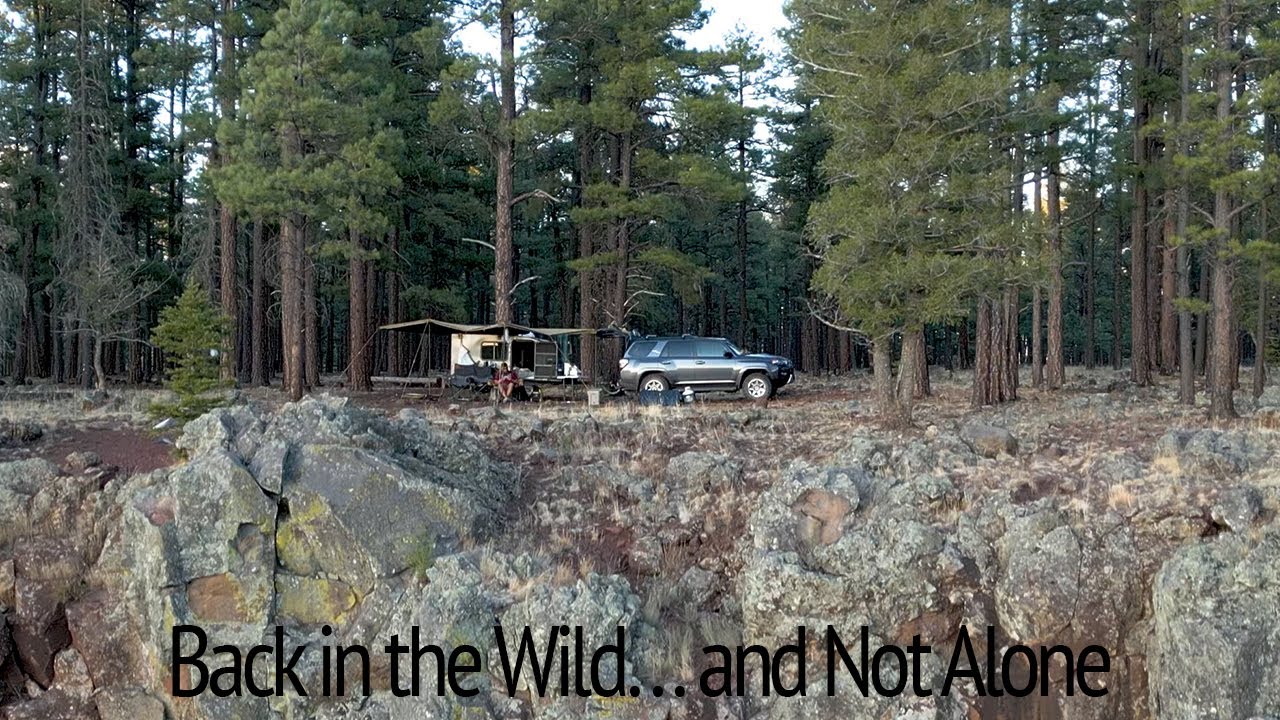 Приключение в Белых горах Аризоны — Одиночный кемпинг — Встреча с медведем — Трейлер для туристов