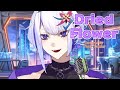 ドライフラワー(Dried Flower) 한글자막, 번역  / Covered by Whale Taylor