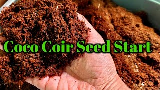 Starting Seedlings With CocoCoir? Did It Work? Seed Experiment Pt 2