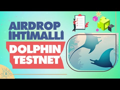 Airdrop İhtimalli Dolphin Testnet İşlemleri | Manta - Calamari Ağı